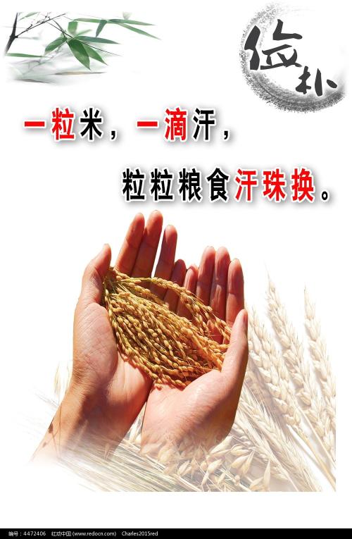 加州州立大学弗雷斯诺分校本科成绩单